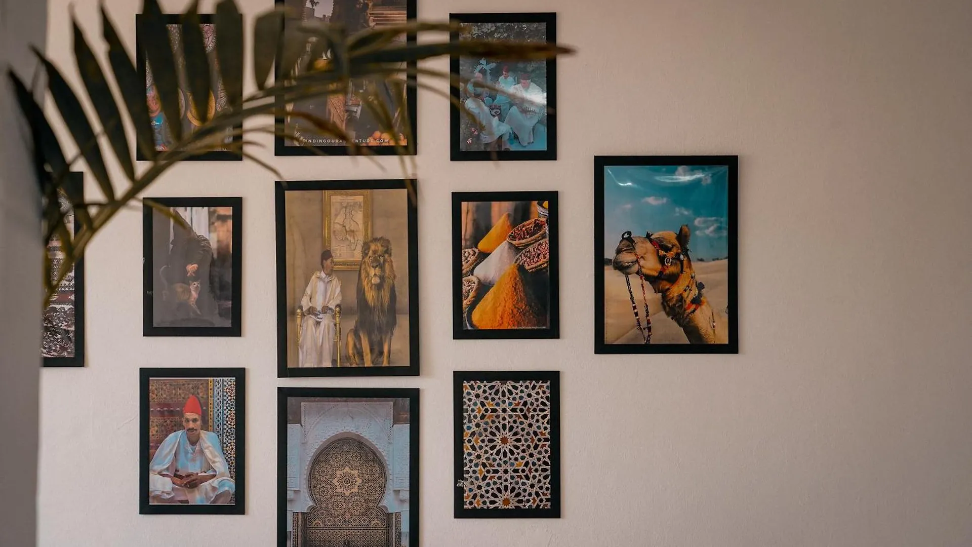 Soul Surf House Anza Hostel Agadir 0*,